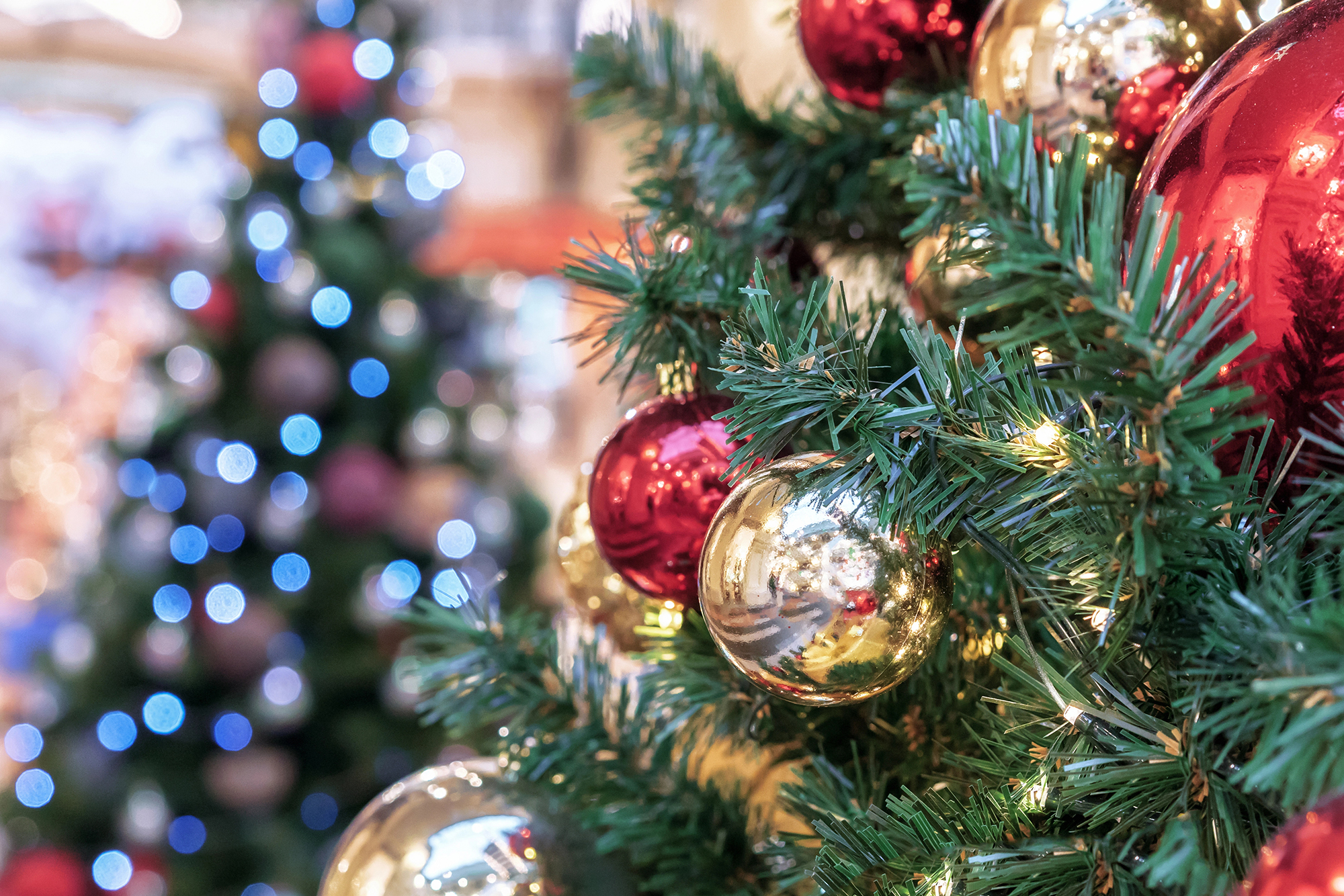 red and gold ornaments hang on a Christmas tree against the backdrop of a lighted Christmas tree bokeh